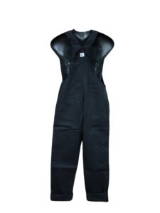 Alaska delela black back